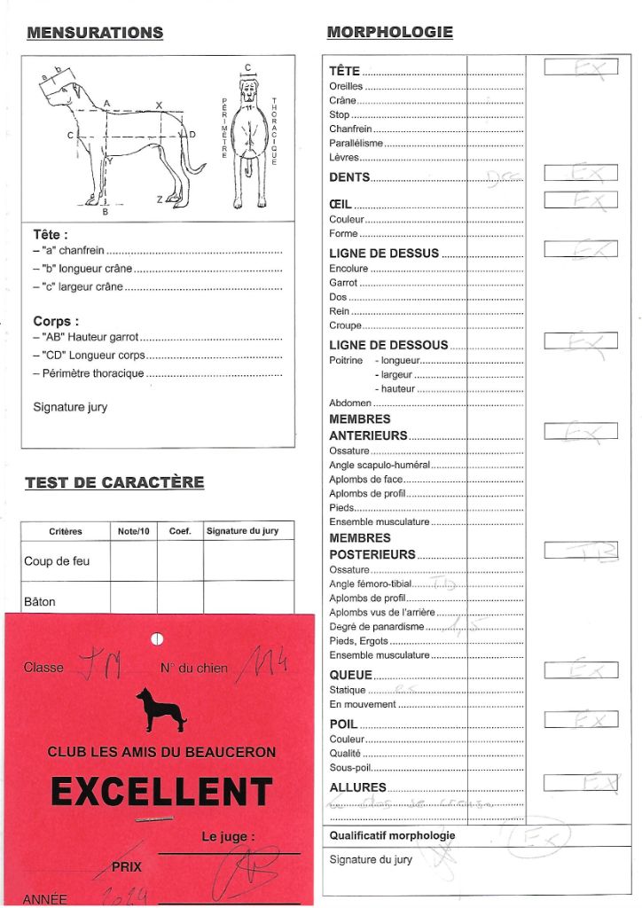 De La Comté Des Odins - Nationale d'élevage de Romorantin (41).