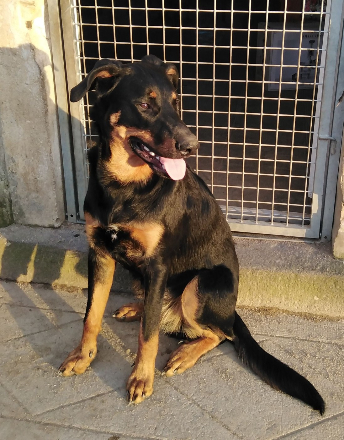 Azteck De La Comté Des Odins